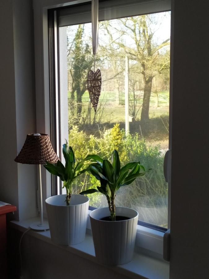 Gaestehaus Hoelting Homestay *
